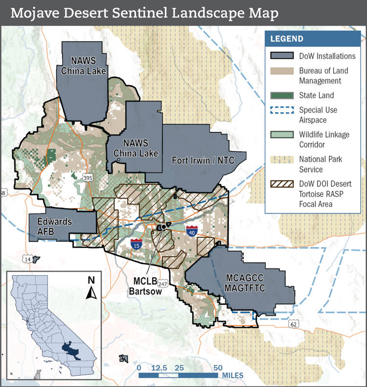 MojaveDesert_SL_Profile_20260305_2550px_Wide.jpg